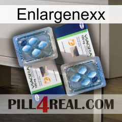 Enlargenexx viagra5